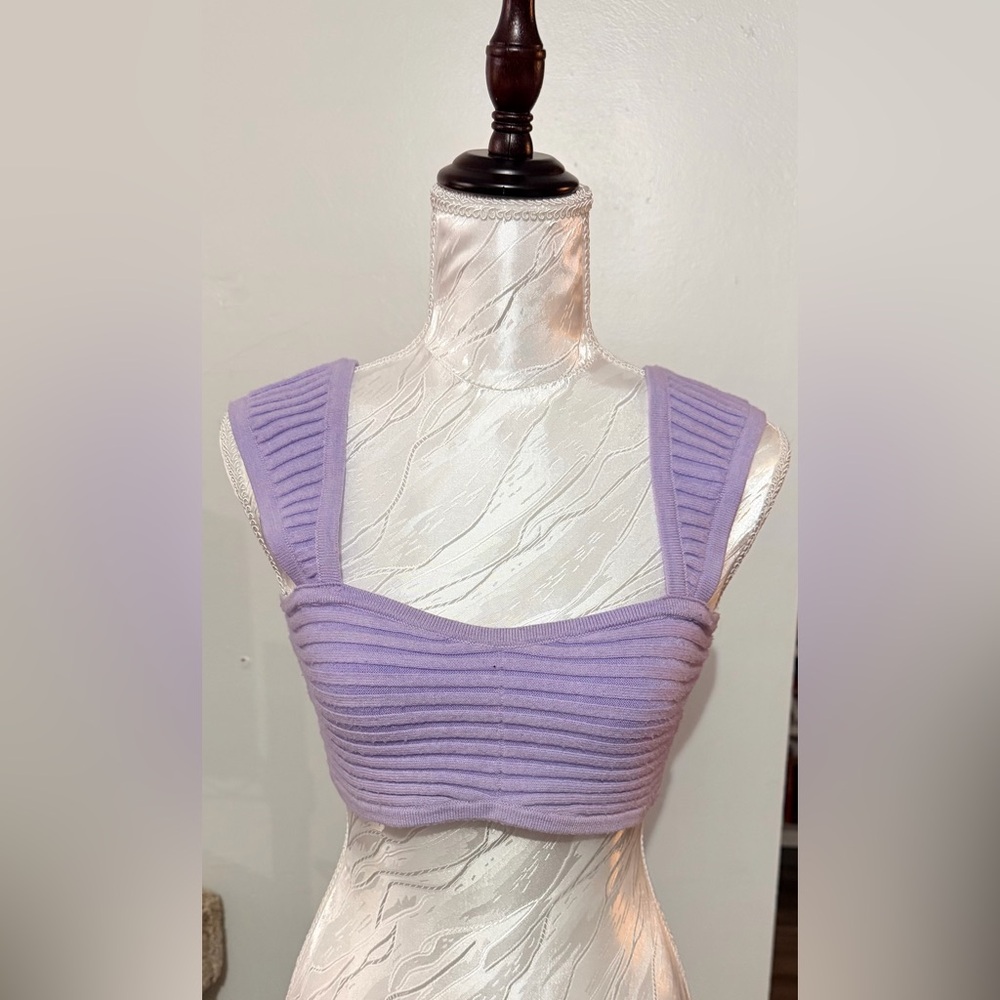 Wild Fable Ribbed Lavender Crop Top SZ S Sexy